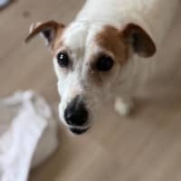 Photo of Choppa And Tiara