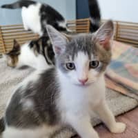 Photo of Mr Percival