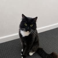 Photo of Mickey