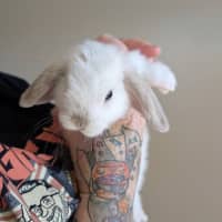 Photo of Cloud / Misty