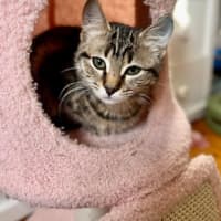 Photo of Winnie