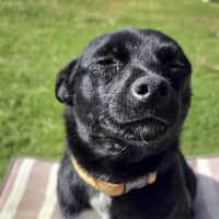 Photo of Scott (Turbo)