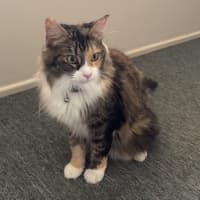 Photo of Lexi