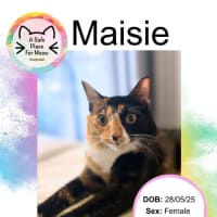 Photo of Maisie