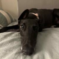 Photo of Tiny