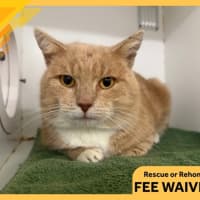 Photo of Max