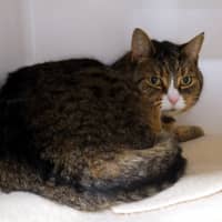 Photo of Coco Sua014206