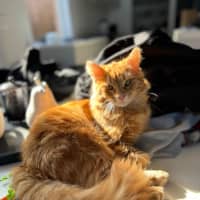 Photo of Sir Jerry