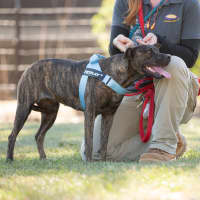 Photo of Maggie
