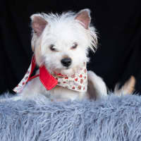 Photo of Jack Sprout