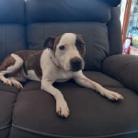 Photo of Blaze Newhaven