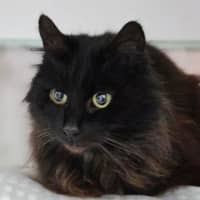 Photo of Jasmina