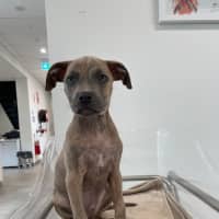 Photo of Zeus