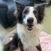 Photo of Lenny