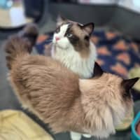 Photo of Bubbles And Lily 