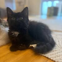 Photo of Orlando And Clem 