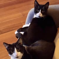 Photo of Lily & Delilah 