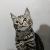 Photo of Ruben