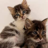 Photo of Christian And Dior