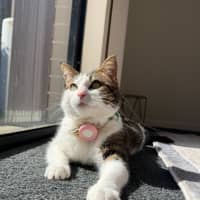 Photo of Musi