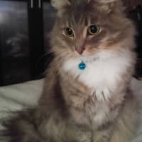 Photo of Klaus