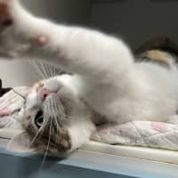 Photo of Maisy