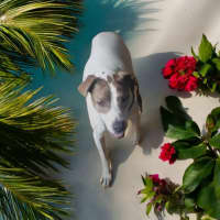 Photo of Dude