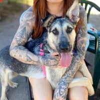Photo of Roofus