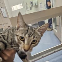 Photo of Clover 