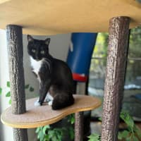 Photo of Stella 🌹