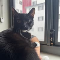 Photo of Quincy
