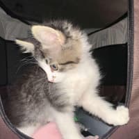 Photo of Bruce And Macey