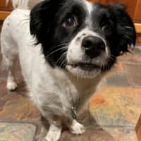 Photo of Sam Jablonski