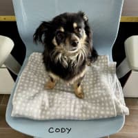 Photo of Cody And Little One