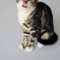 Photo of Elliette 