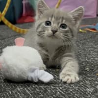 Photo of Winny
