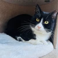 Photo of Gatsby 🌟