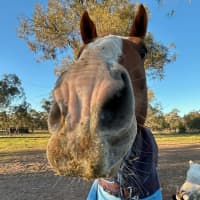 Photo of Big Red