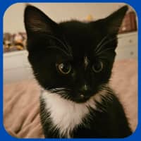 Photo of Jay Jay
