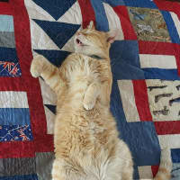 Photo of Jasper