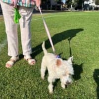 Photo of Lily Peggotty