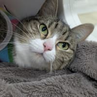 Photo of 🎭 Mischief 6423 🎭