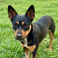 Photo of Winnie