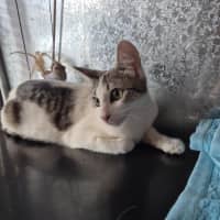 Photo of Whitney! 🌟