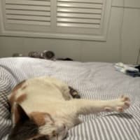 Photo of Millie