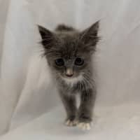 Photo of Mooni