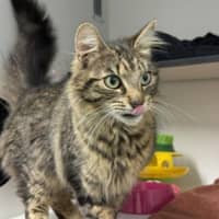 Photo of Persephone
