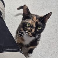 Photo of Faye (8925)