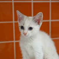 Photo of Jess