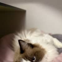Photo of Cece